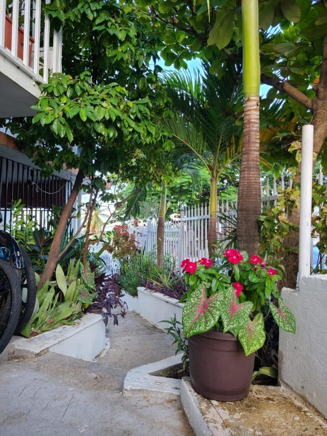 סן חואן Casita Natural Village #4, #6 Y #8 מראה חיצוני תמונה